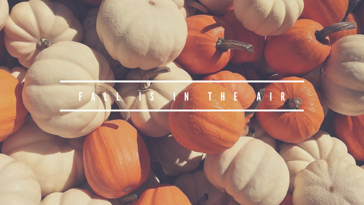 Fall is in the Air Collection
